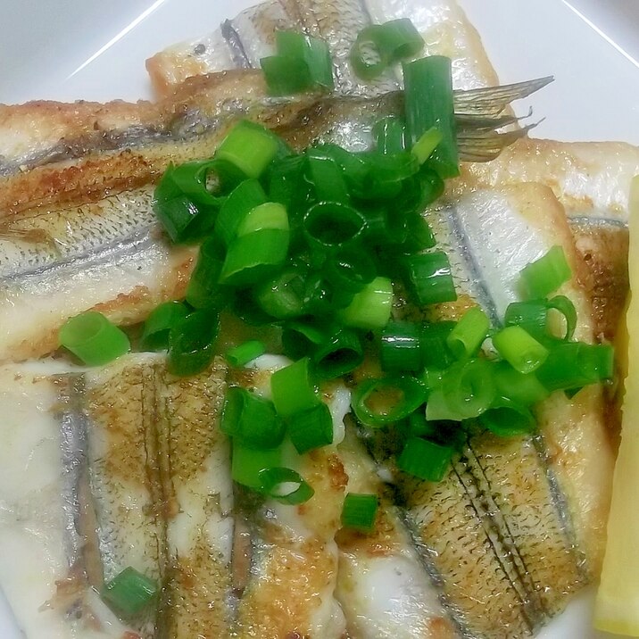 さよりのソテー レシピ 作り方 By Chaachan6066 楽天レシピ さよりのソテー レシピ 作り方 By Chaachan6066 楽天レシピ